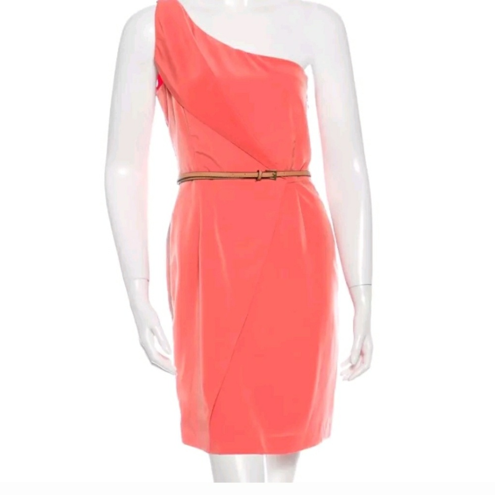 Sachin and Babi belted one shoulder dress with tsg